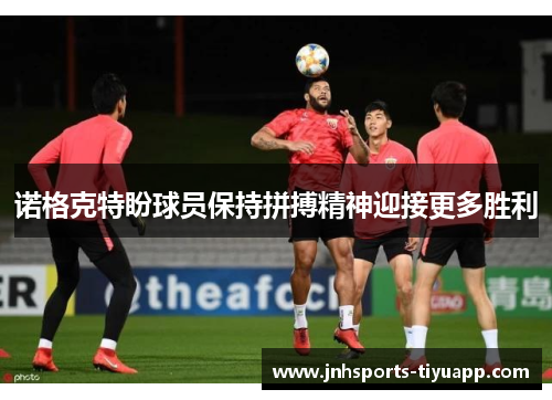 诺格克特盼球员保持拼搏精神迎接更多胜利